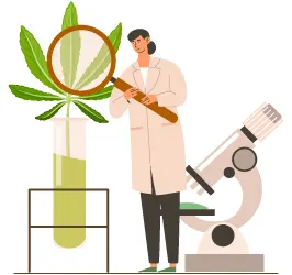 CBD als naturliche Erganzung zur Alternativmedizin