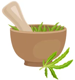 CBD als naturliche Erganzung zur Alternativmedizin